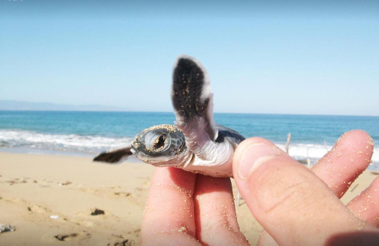 טנגלה Rekawa Turtle Gate Hotel מראה חיצוני תמונה