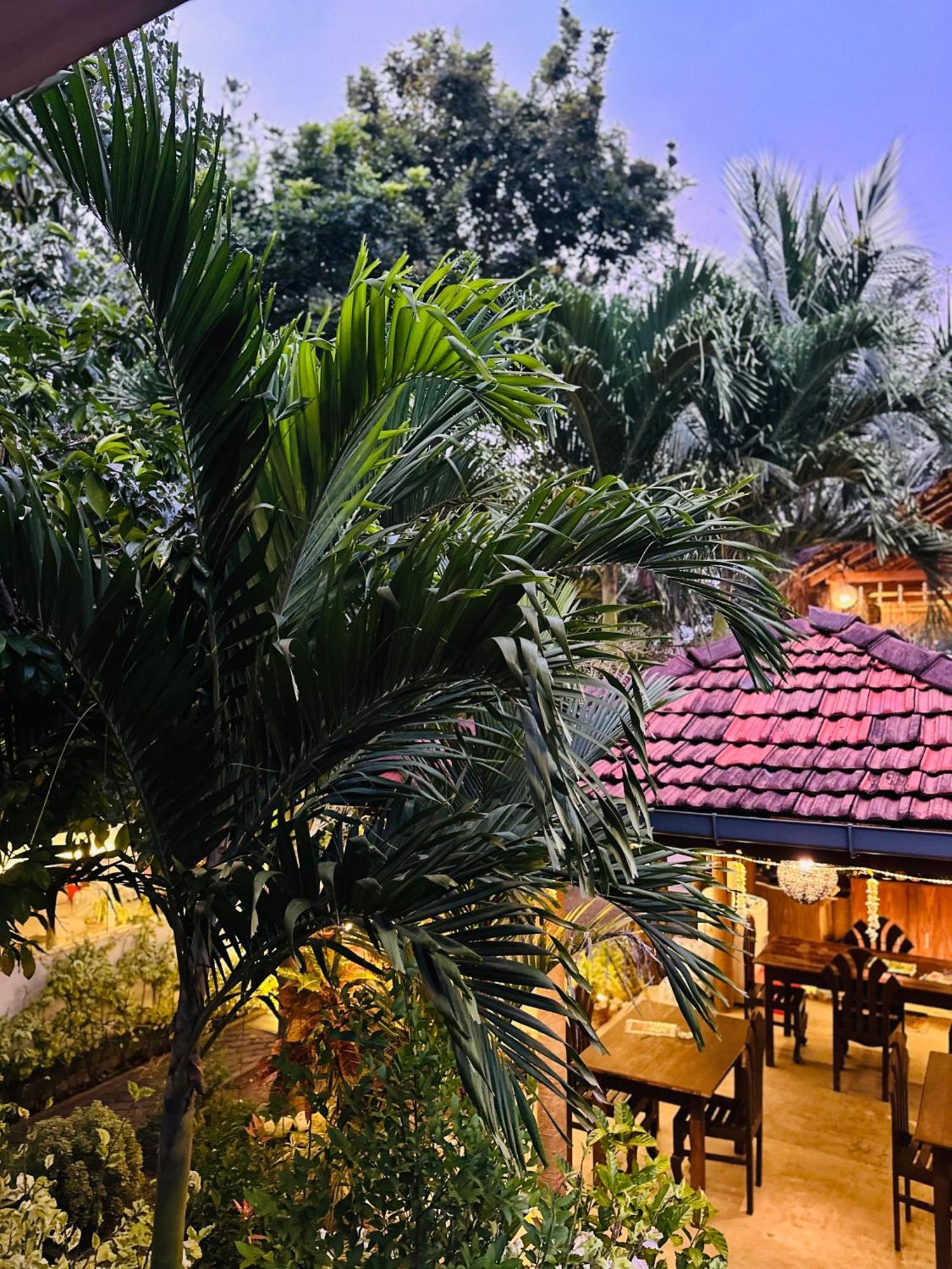 טנגלה Rekawa Turtle Gate Hotel מראה חיצוני תמונה